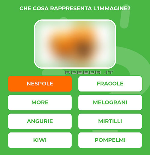 NESPOLE.jpg
