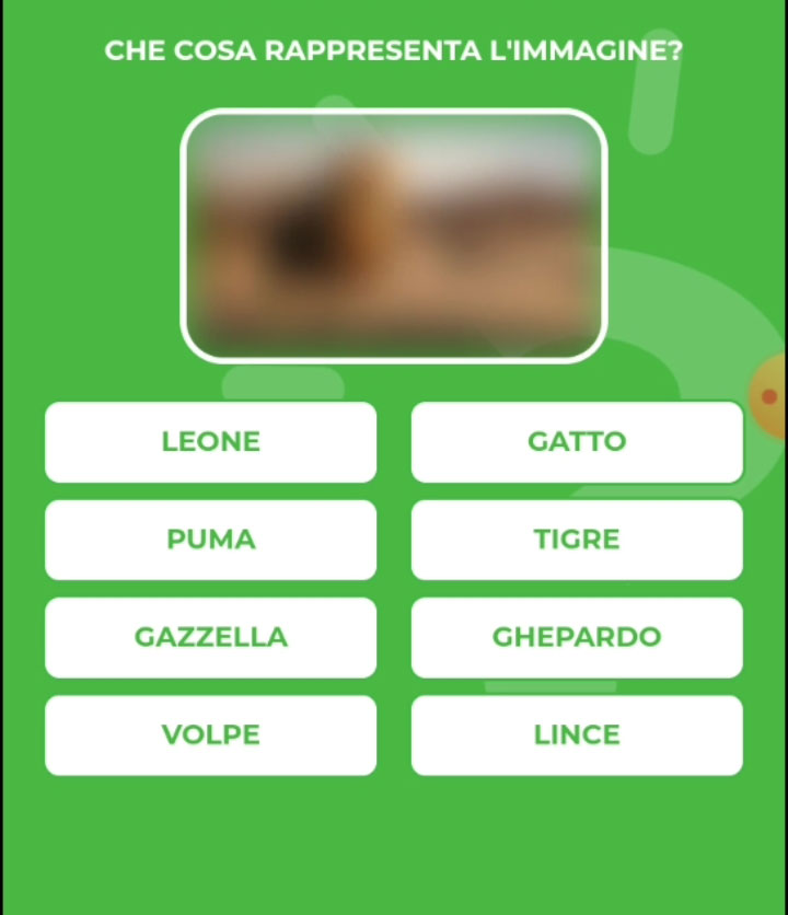 LEONE.jpg