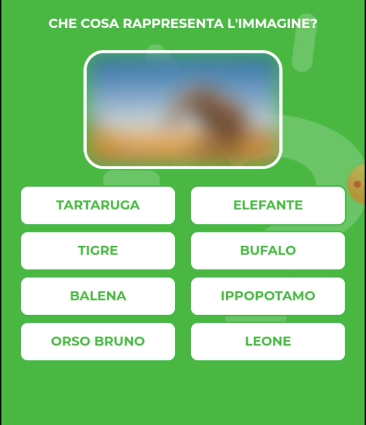 ELEFANTE.jpg
