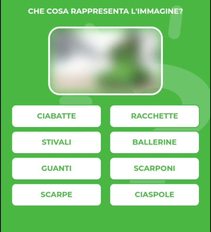 SCARPONI.jpg