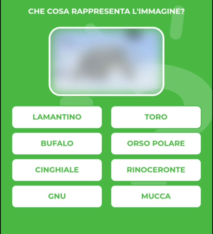 ORSO-POLARE.jpg