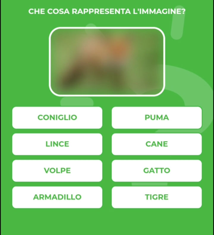 VOLPE.jpg