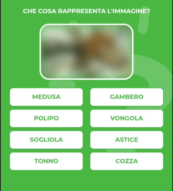 POLIPO.jpg