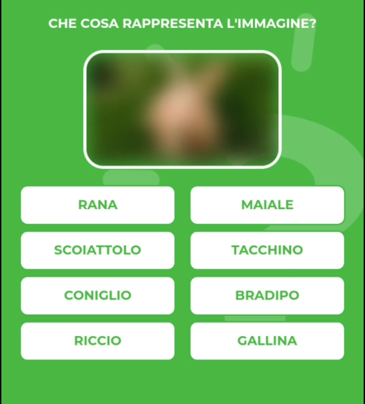 CONIGLIO.jpg