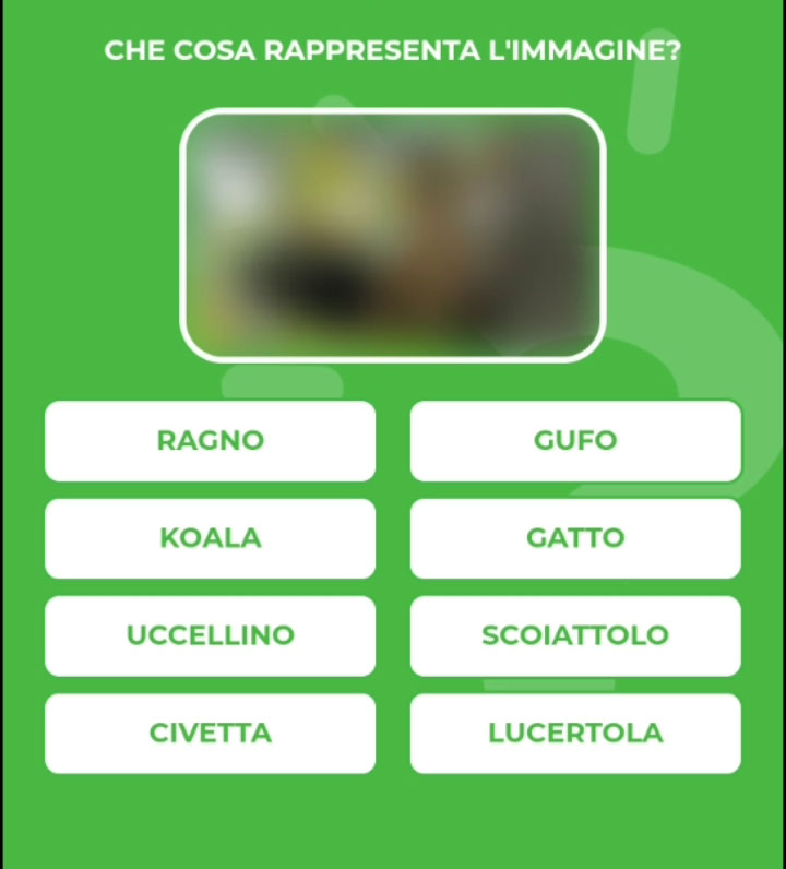 SCOIATTOLO.jpg