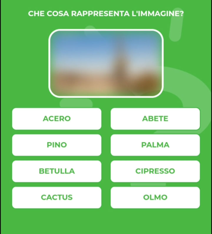 CACTUS.jpg