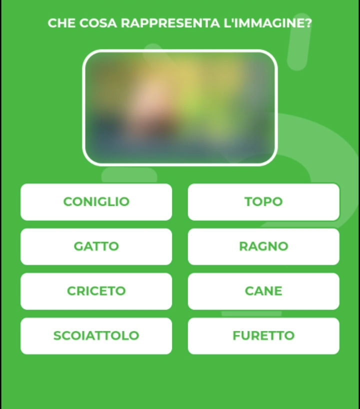 CRICETO.jpg