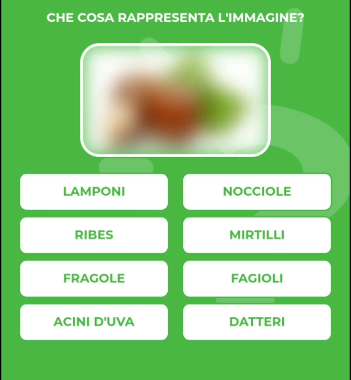 NOCCIOLE.jpg