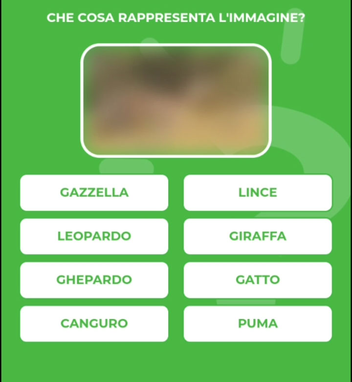 GAZZELLA.jpg