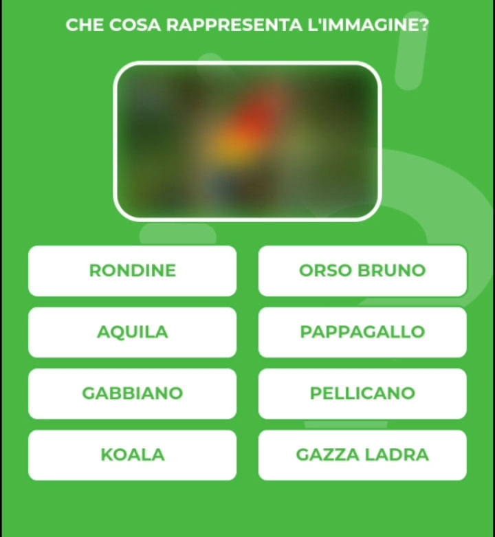 PAPPAGALLO.jpg