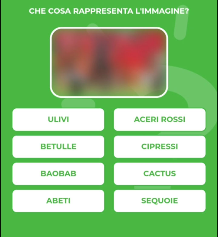 ACERI-ROSSI.jpg