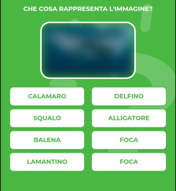 BALENA.jpg