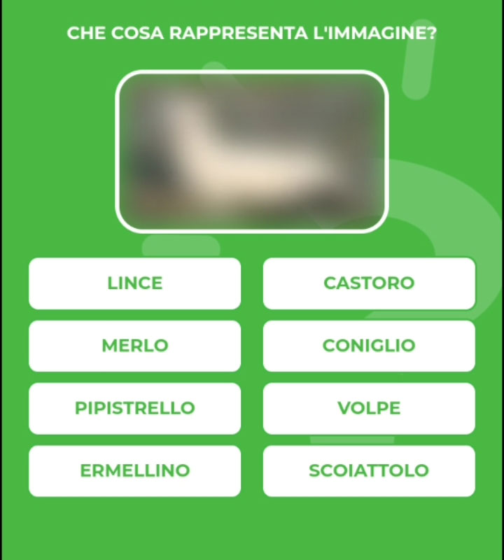 ERMELLINO.jpg