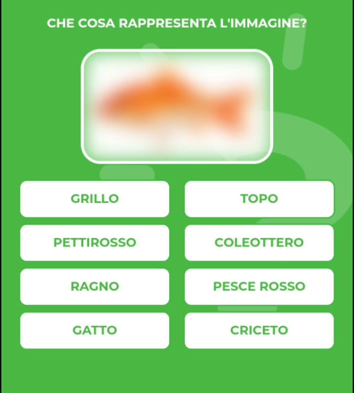 PESCE-ROSSO.jpg
