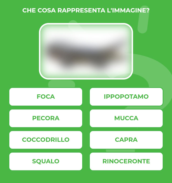 COCCODRILLO.jpg