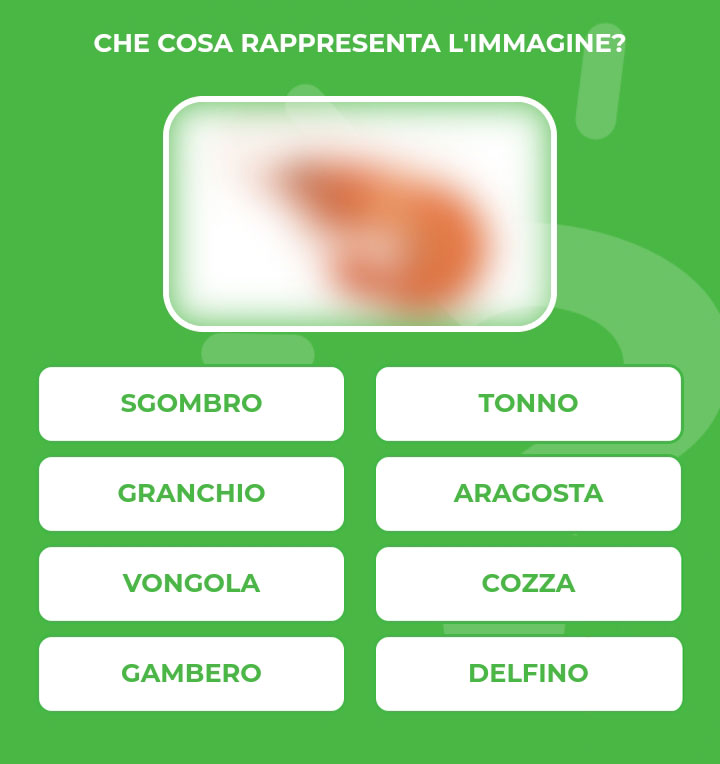 GAMBERO.jpg