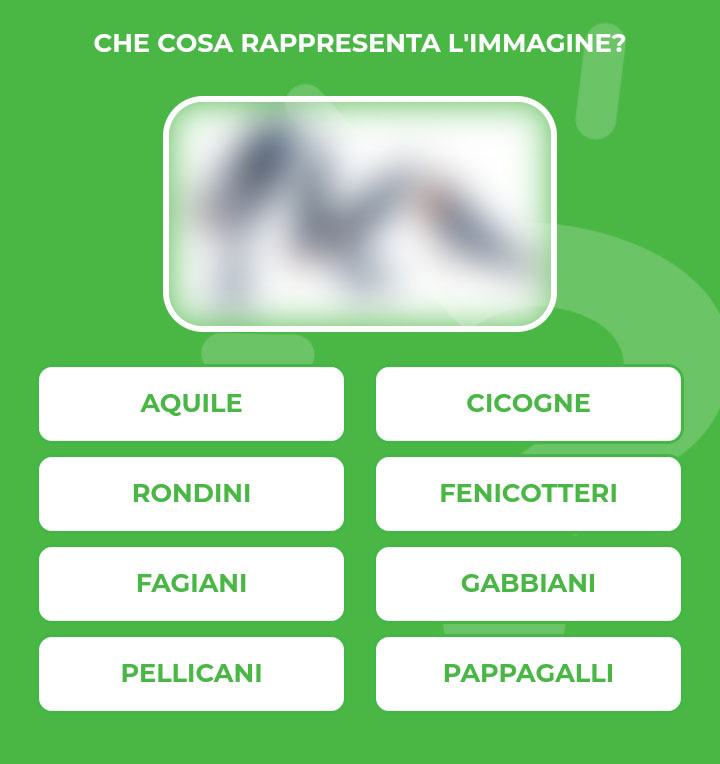 RONDINI.jpg