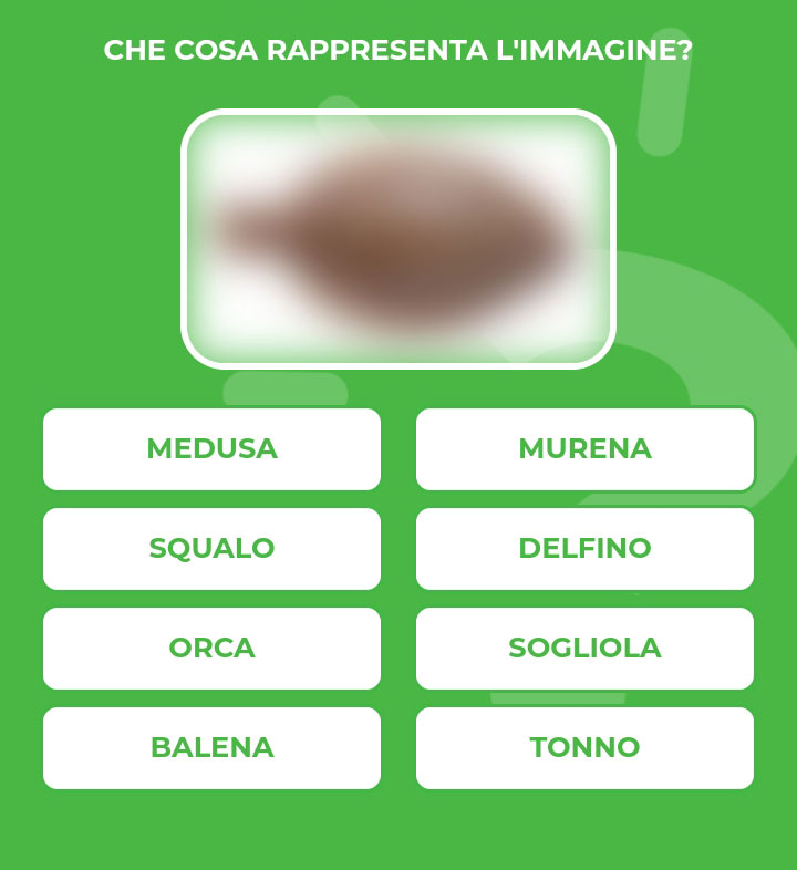 SOGLIOLA.jpg