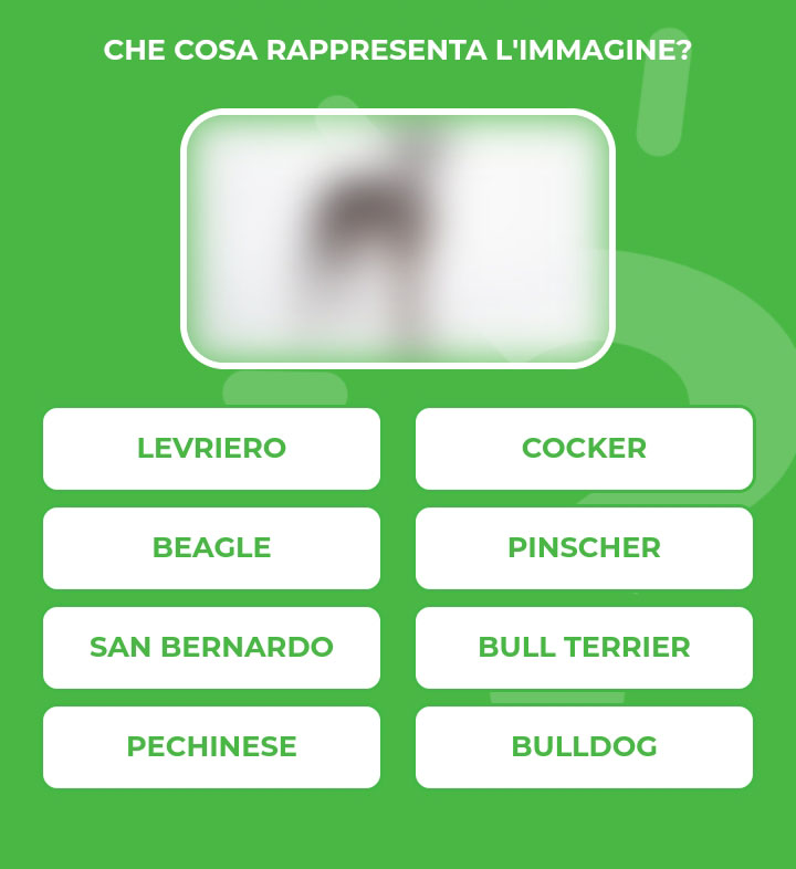 LEVRIERO.jpg
