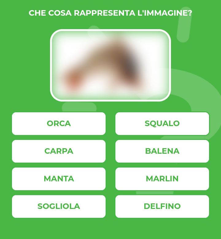 CARPA.jpg