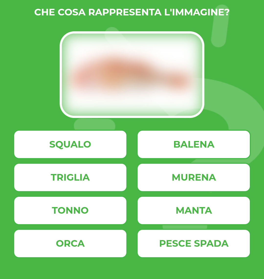 TRIGLIA.jpg
