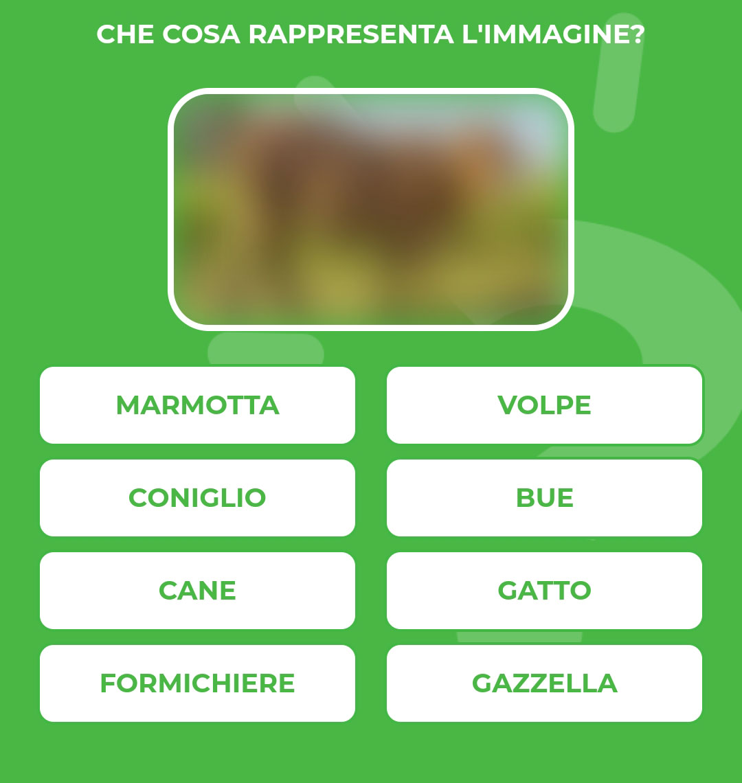 BUE.jpg