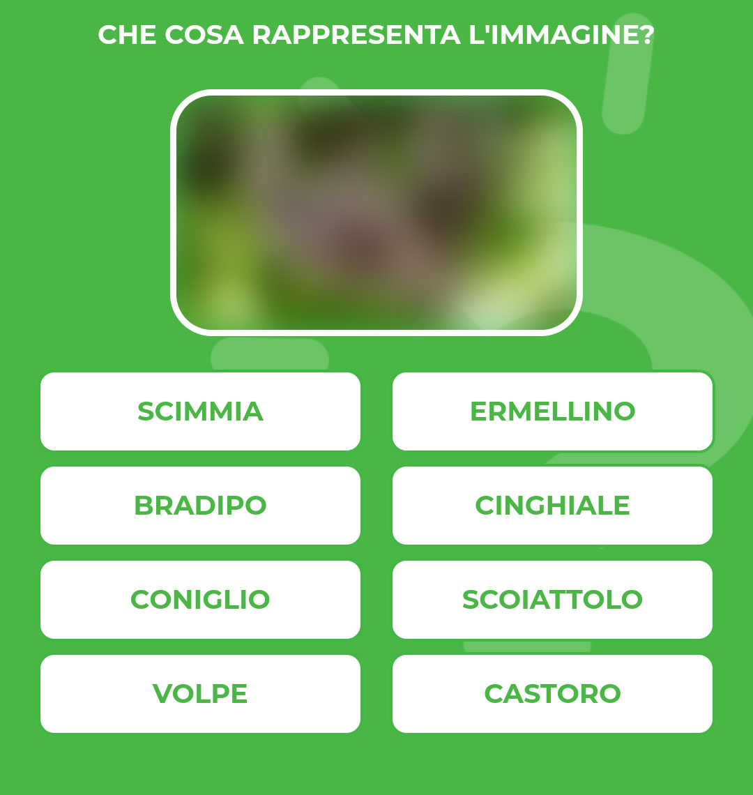 BRADIPO.jpg