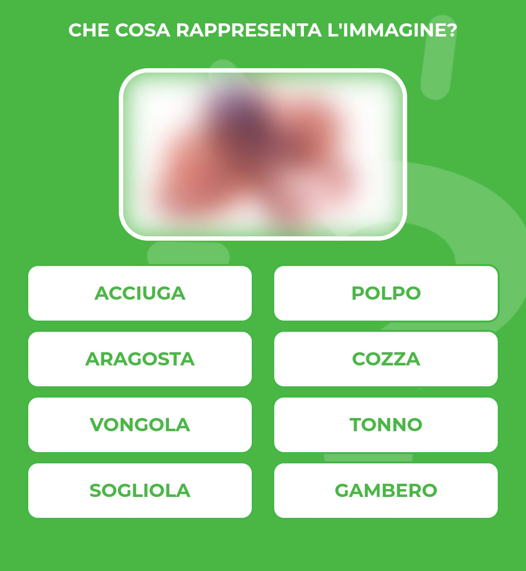 POLPO.jpg