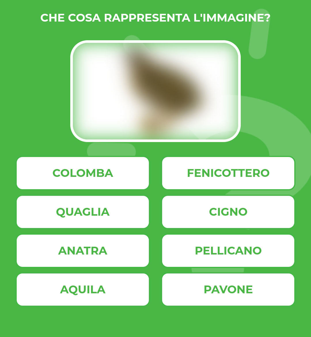 QUAGLIA.jpg