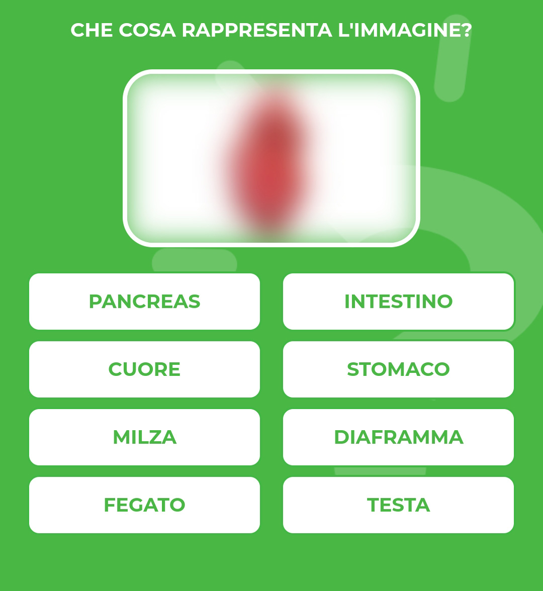 CUORE.jpg