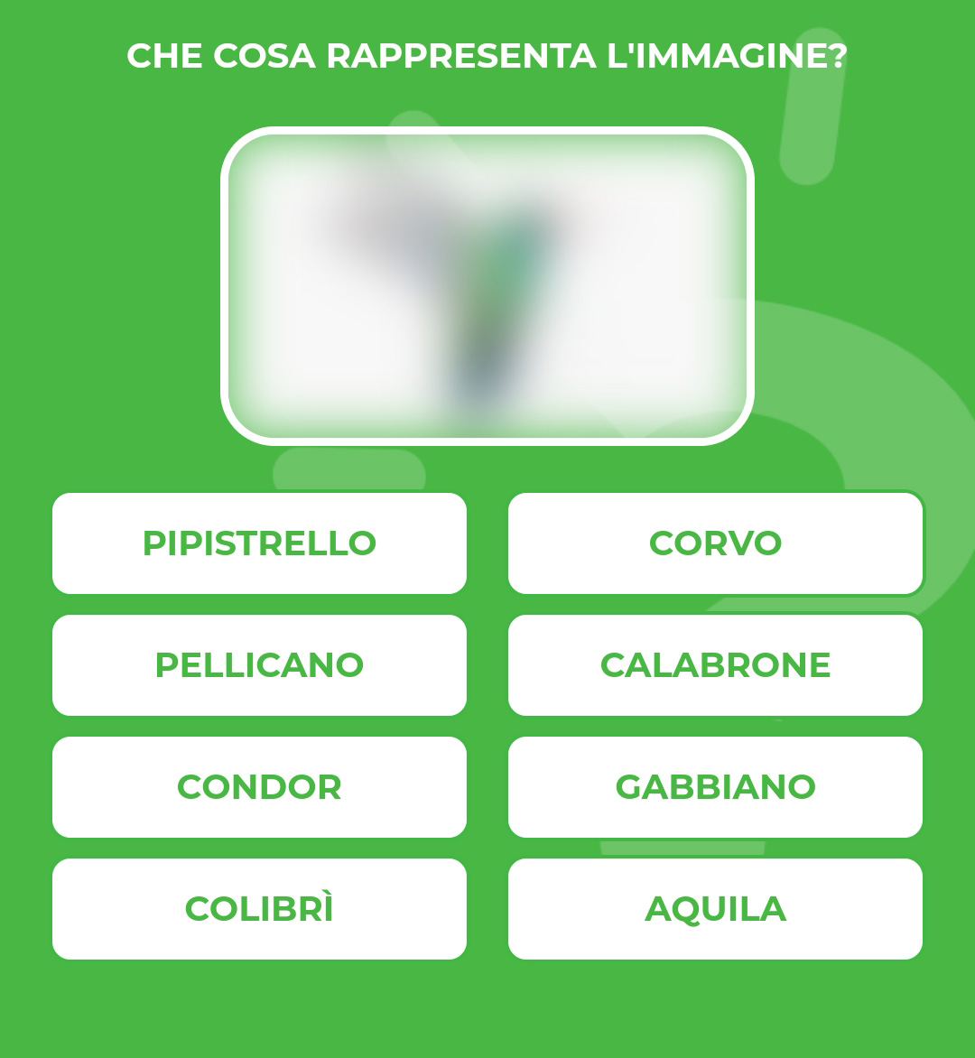 COLIBRI.jpg