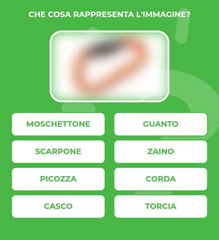 MOSCHETTONE.jpg