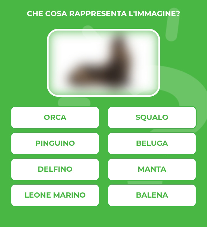 LEONE-MARINO.jpg