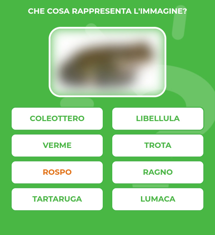 ROSPO.jpg