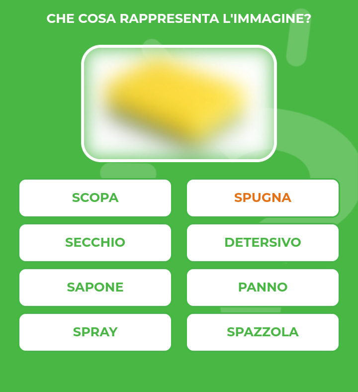 SPUGNA.jpg