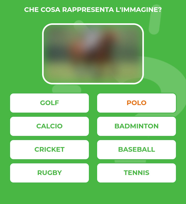 POLO.jpg