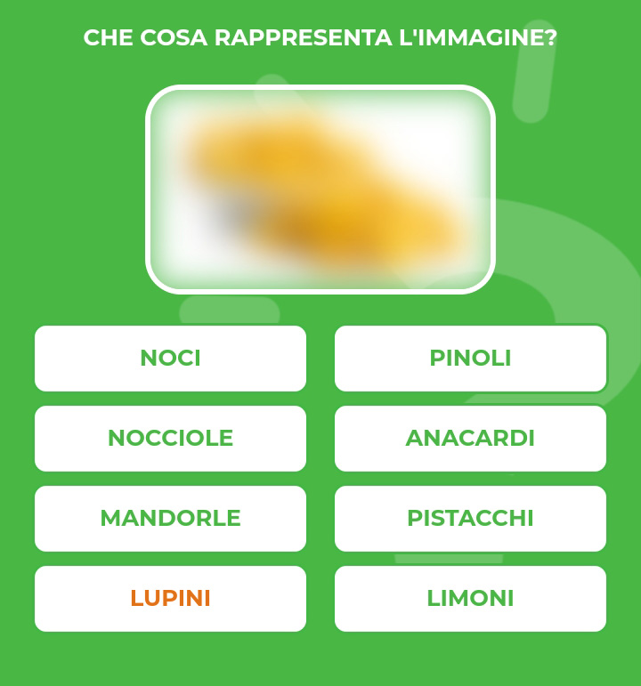 LUPINI.jpg