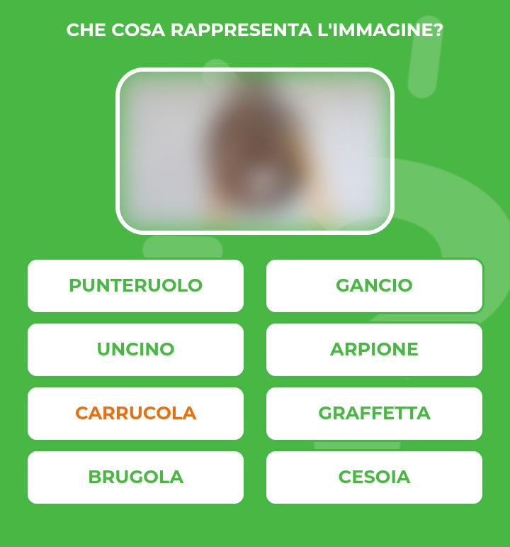 CARRUCOLA.jpg