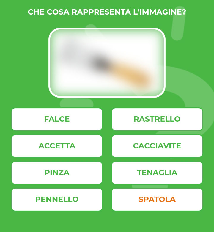 SPATOLA.jpg