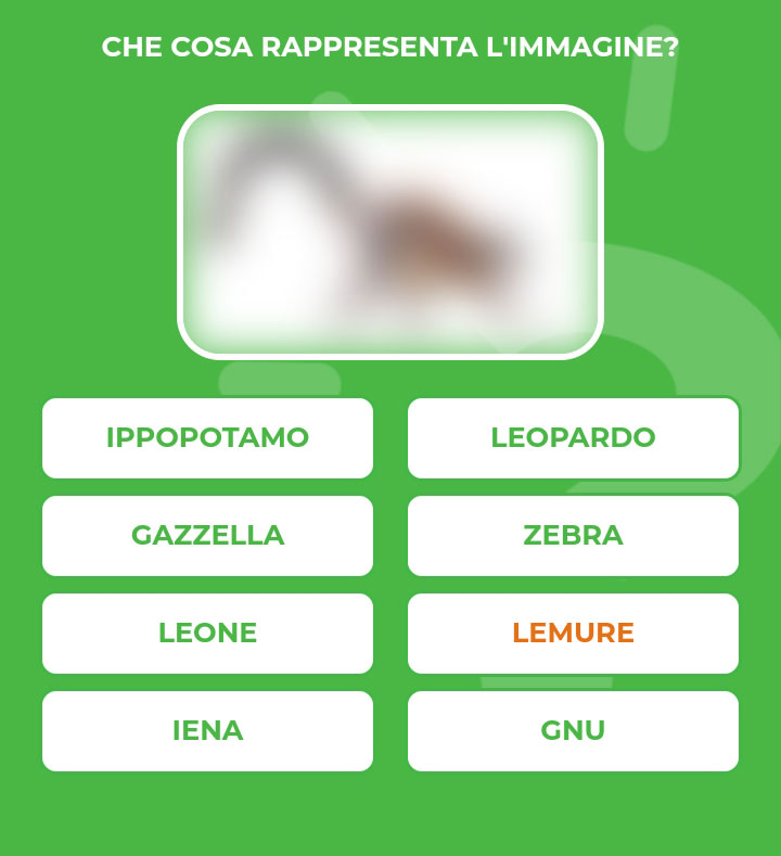 LEMURE.jpg