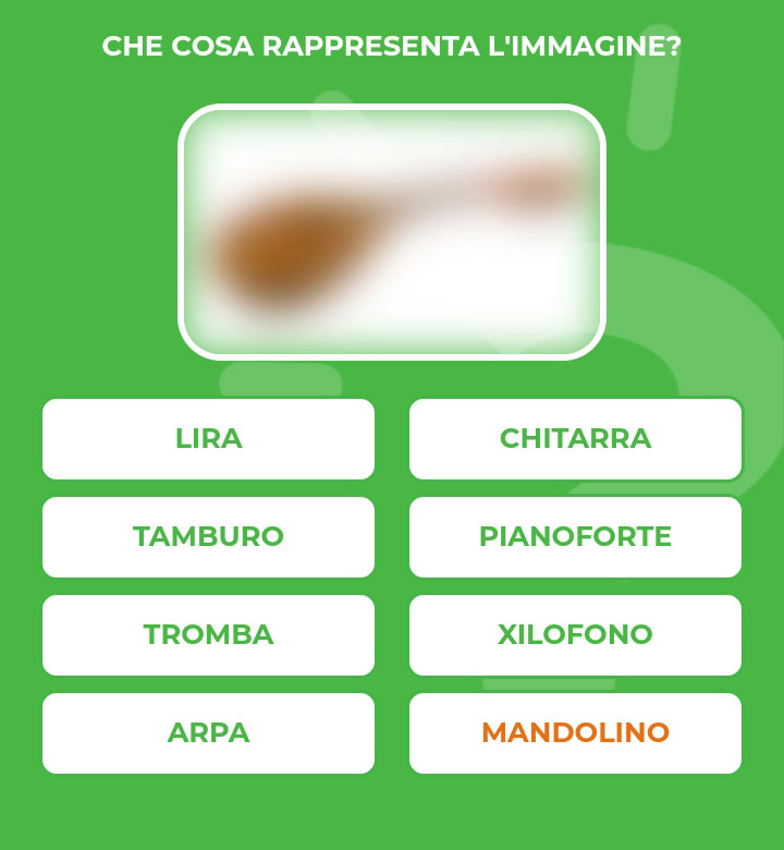 MANDOLINO.jpg