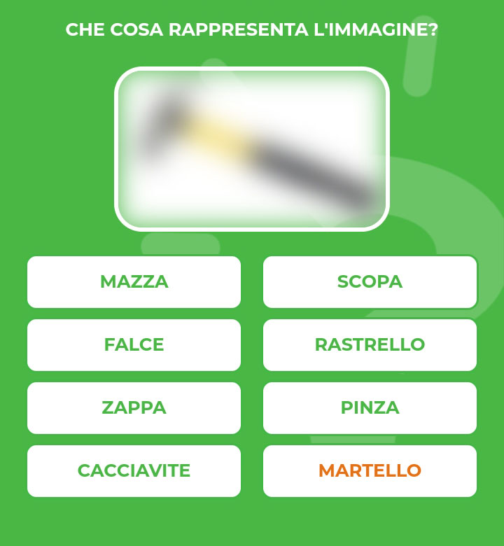 MARTELLO.jpg
