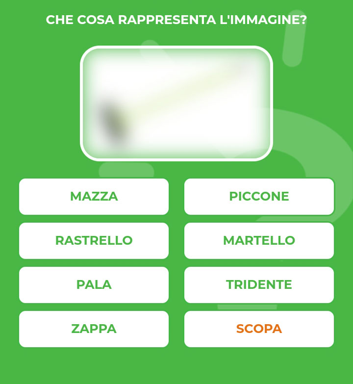 SCOPA.jpg