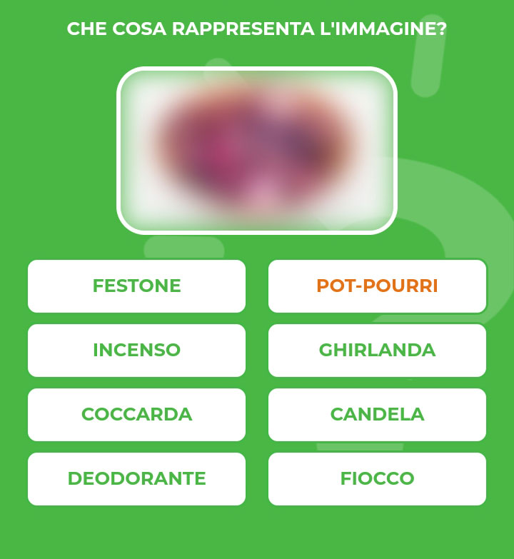 POT-POURRI.jpg