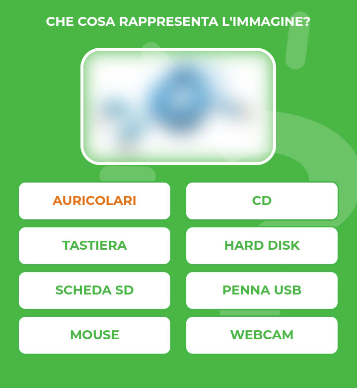 AURICOLARI.jpg