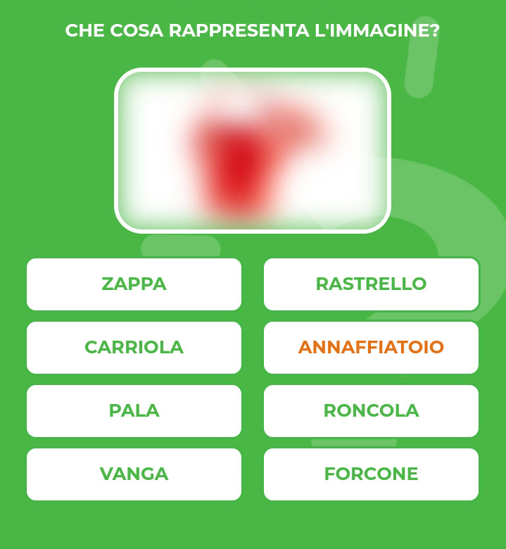 ANNAFFIATOIO.jpg
