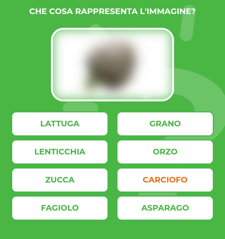 CARCIOFO.jpg