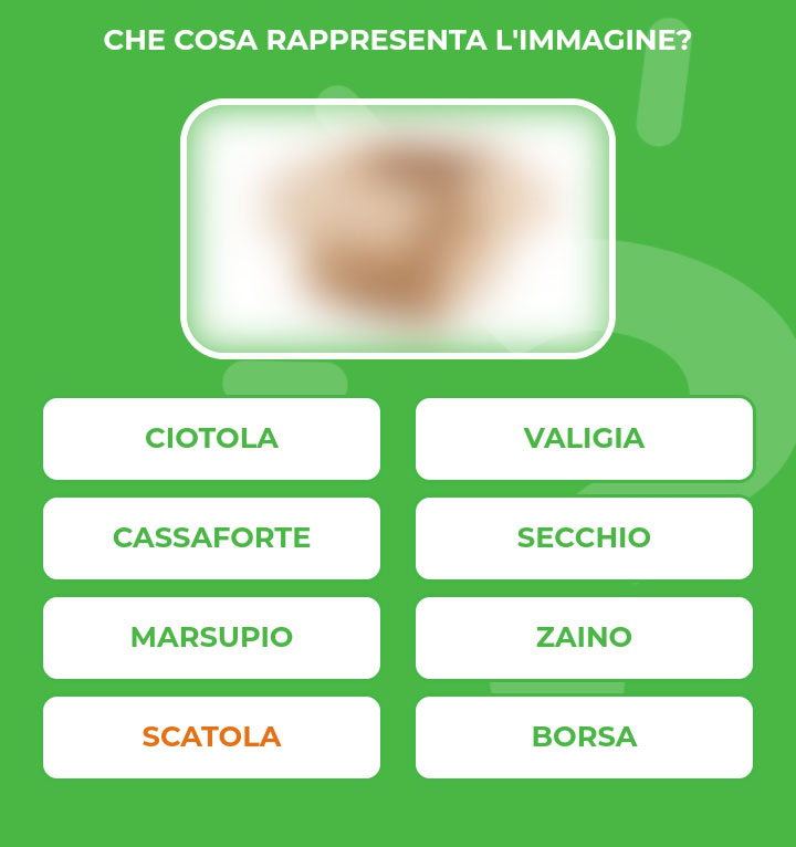 SCATOLA.jpg