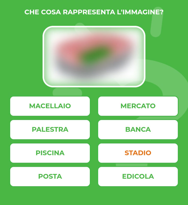 STADIO.jpg