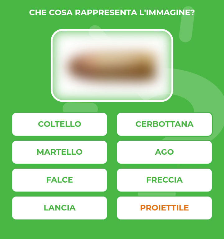 PROIETTILE.jpg